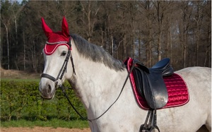 Juego de Almohadillas para Silla de Montar Ecuestre Personalizable, de Polialgodón, con Botas de Protección para Caballos, Cabestro, Manta para Caballo, Botas de Tendón, Disponible al por Mayor - Product Image 4
