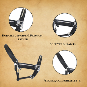 Licol pour cheval en cuir véritable de qualité supérieure / Ajustement anatomique, surpiqûres fantaisie / Boucles en acier inoxydable, durable, usage quotidien, 2026 - Product Image 4