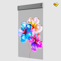 Module d'affichage LED transparent flexible-Écran de film cristal polychrome de 3.9/7.8mm pour la vente au détail et les salles d'exposition