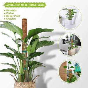 Jardinières d'intérieur professionnelles de 8 à 16 pouces de fabricants indiens Pots de fleurs hauts et coco coco pour utilisation dans le jardin - Product Image 3