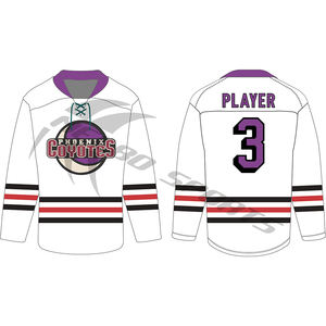 Maillots de hockey sur glace à sublimation personnalisée, tissu durable de haute qualité, uniformes d'équipe personnalisés, maillots de hockey brodés avec logo - Product Image 3