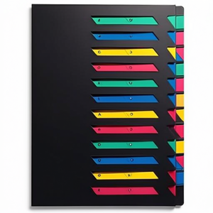 PAGNA Classic DIN <b>A4</b> Deskorganizer Black Pressboard File <b>Folder</b> with 24 Compartment Block in Multicolored 24 Compartments PAGNA - Product Image 2