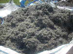 Neumáticos Premium/Chatarra de alambre para neumáticos chatarra de acero inoxidable a granel reciclaje industrial de alta calidad menos 2% tamaños de contaminación de caucho - Product Image 2