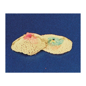 Lámpara de Gas de Repuesto Sc Retina, 2 Piezas - Product Image 1