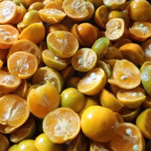 HOT DEAL KUMQUAT JUGO A GRANEL SUMINISTRO AL POR MAYOR CALIDAD PREMIUM NATURAL FRUTA FRESCA PRODUCTO DE EXPORTACIÓN TOP VENTAS MEJOR PRECIO - Product Image 4