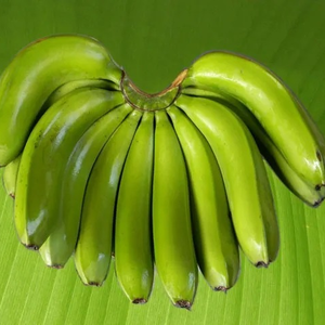 Cavendish Banana Mejor Calidad Grado Premium Tipo de cultivo común Venta al por mayor 100% Plátanos frescos naturales - Product Image 5