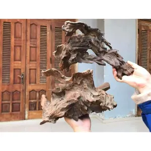 Natural driftwood aquatic plant for fish tank aquarium accessories from Vietnam factory WhatsApp +84 937 545 579