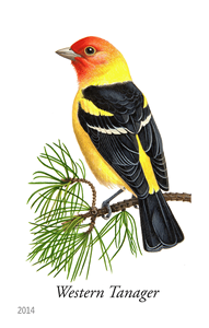 2014 Song Birds Retro Style Self-adhesive Glossy Finish Paper <b>Stickers</b> <b>for</b> <b>Scrapbooking</b> Journaling Album Decoration Valentine's - Product Image 4