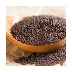 Vente en gros de graines de moutarde de qualité supérieure pour assaisonnement et condiment - Product Image 6