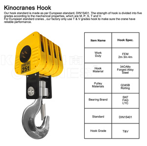 1-200ton trên không cần cẩu đơn móc ròng rọc khối cần cẩu móc - Product Image 4
