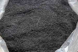 มอสสีดำมีสุขภาพดีเก็บเกี่ยวมรดกโบราณอย่างยั่งยืน - Product Image 3