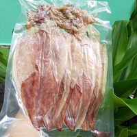 Calamar seco de exportación, calamar Premium, oferta