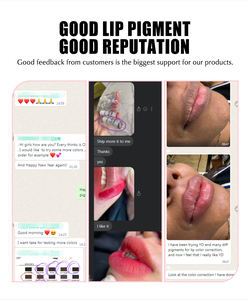 Pigmento de maquillaje permanente blanco estéril Wenshen para tinta de tatuaje de labios de uso de máquina digital disponible - Product Image 4