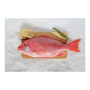 Vente en gros de poisson rouge congelé, fourni avec des services de manutention de qualité supérieure et prêts pour l'exportation - Product Image 4