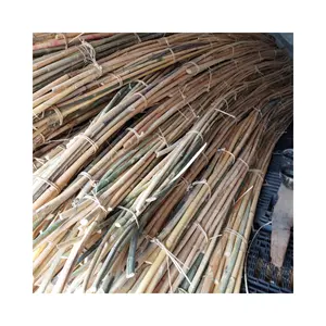 High Quality Natural Rattan Cane From Vietnam Factory Price 99 Gold data