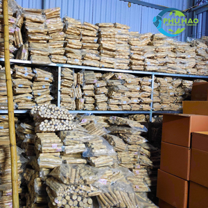 ของเล่นเป็นมิตรกับสิ่งแวดล้อมสําหรับสัตว์เลี้ยงกาแฟไม้สุนัขเคี้ยว: 100% วัสดุกาแฟโรบัสต้าส่งออกบรรจุสูญญากาศ 1:1 จากโรงงานของเวียดนาม - Product Image 6