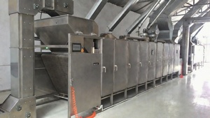 เครื่องคั่วเมล็ดถั่ว ผลไม้ ผัก แกรโนล่า ขนมปัง สแตนเลส 1200 กก./ชม. - Product Image 6