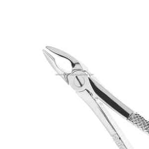 Fórceps quirúrgicos dentales de acero inoxidable Manual de alta calidad Agarre ergonómico Clase II Instrumento de extracción de dientes Certificado CE OEM - Product Image 5