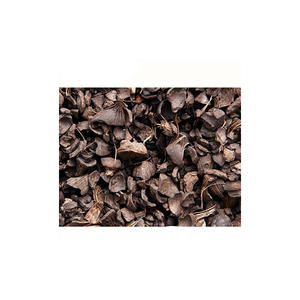 Coque de palmiste de haute qualité, emballage personnalisé de qualité supérieure, OEM/ODM, commerce de gros en Allemagne, offres en gros, fournisseur fiable, rapide - Product Image 5