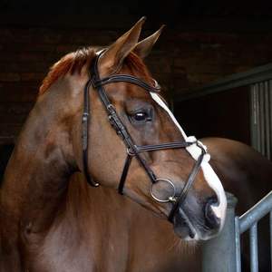 Bride de cheval en cuir véritable Bride de cheval en cuir véritable personnalisée Fabricants vendant une bride de cheval en cuir véritable - Product Image 3