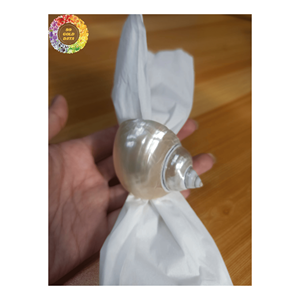 Coquilles de turquoise verte du Vietnam artisanat décor de Noël écologique recueilli et nettoyé pour l'approvisionnement en vrac et la vente au détail - Product Image 4