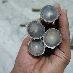 ปลายเขาควายธรรมชาติเป็นมิตรกับสิ่งแวดล้อม สำหรับงานฝีมือ ทำด้ามมีด งานแกะสลักแบบดั้งเดิม งานทำมือ ตกแต่งบ้าน - Product Image 2