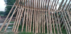 เสาไม้ไผ่สีต่างๆเสาไม้ไผ่สีดำสีเขียวเสาไม้ไผ่ธรรมชาติ - Product Image 3