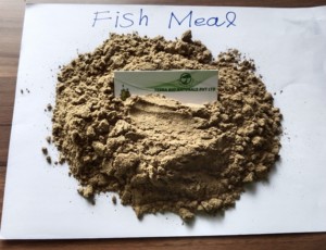 Precio de fábrica al por mayor, pienso para animales, harina de pescado para aves de corral, de exportador indio - Product Image 3