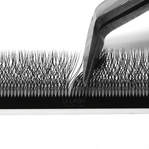 Clover W lash trays 3D 4D 5D 6D premade <b>eyelash</b> volume fan <b>fluffy</b> deep black W mink lashes wholesale bulk - Product Image 1