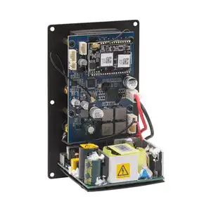 Scheda amplificatore per lastre audio in streaming Wireless Arylic amplificatore Subwoofer di classe D assemblato