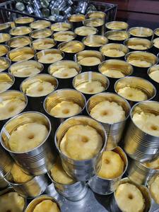 Ananas frais en conserve du delta du Vietnam, tranches de fruits enrobées de sirop, ananas en tranches conservées 1kg pour la restauration et l'industrie des boissons - Product Image 1