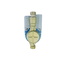 Compteur d'eau intelligent à jet unique en laiton DN15 R100 IP68 avec module NBIOT LoRaWAN RS485 Classe B Compteur numérique OBM OEM
