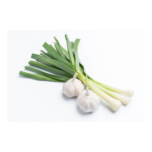 Bulk Quantity Wholesale Supplier Best Quality Top Grade <b>Fresh</b> Peeled <b>Garlic</b> From Austria Origin 25kg for Sale in Cheap Price - Product Image 3