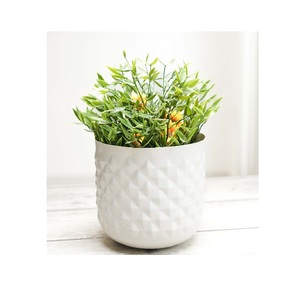 Maceta de Metal de aluminio de lujo, maceta decorativa con acabado recubierto de polvo para el hogar moderno, oficina, sala de estar, decoración de jardín, personalizable - Product Image 2