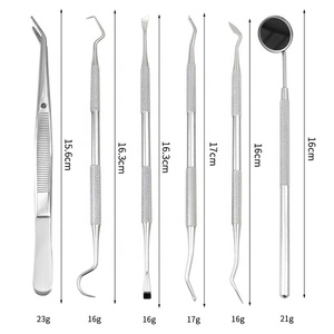 Kit básico de examen dental, 6 uds., herramientas de Limpieza de dientes de diagnóstico de dentista de acero inoxidable, esterilización a alta temperatura - Product Image 2