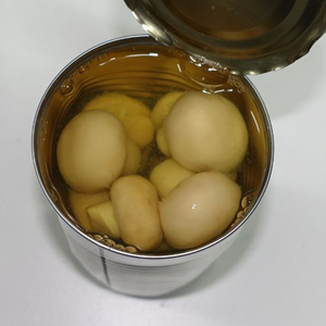 ORGANIC CANNED <b>MUSHROOMS</b> / RICH in TASTE / MADE in VIETNAM - Product Image 4