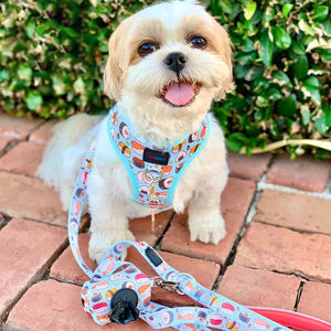 Benutzer definierte süße Sushi Hunde geschirr Set mit Leine Halsband Poop Bag Holder Fliege & Bandana <span class=keywords><strong>Kawaii</strong></span> Haustier Zubehör für Hunde und Katzen - Product Image 3