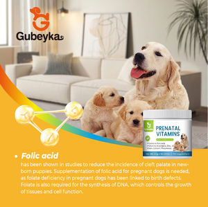 Vitamine prenatali cane vitamine prenatali cani gatti di tutte le razze per la cura per lo sviluppo di animali domestici multivitaminico - Product Image 6