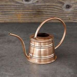 Bidon d'eau en métal léger de grande capacité de style fermier pour plantes avec design décoratif et poignée ergonomique - Product Image 2