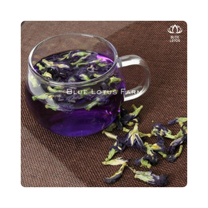 ดอกไม้ถั่วผีเสื้อแห้งแบบพรีเมี่ยม - Product Image 1