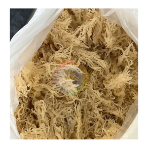 Alga Marina Eucheuma Cottonii al por mayor, grado premium, seca y cruda para suplementos de salud y procesamiento de alimentos - Product Image 1