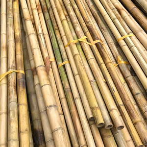 Postes de bambú natural de Vietnam confiables para cercas, sitios de construcción y paisajismo, duraderos, respetuosos con el medio ambiente, personalizados, a la medida - Product Image 4