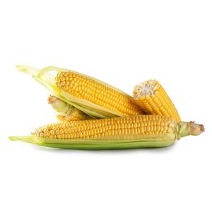 Maïs de qualité supérieure, best-seller, pour les usines d'aliments pour animaux, les fermes d'élevage, l'alimentation avicole, l'industrie alimentaire, la fabrication et les marchés d'exportation mondiaux - Product Image 5