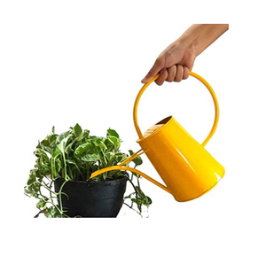 Fábrica nuevo diseño de metal puede regar Jardín de acero inoxidable regadera para tamaño personalizado con la venta - Product Image 6