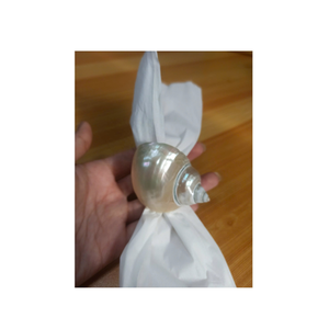 99 Gold Data Vietnam fabricant fournit une coquille de conque verte et une coquille de conque blanche pour la décoration d'artisanat - Product Image 4