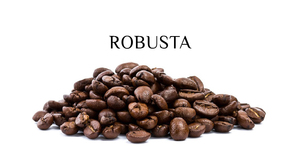 [OEM/ODM Marca Privada] Granos de Café Robusta Tostados, Tueste Oscuro, Sabor Intenso y Amargo, Empaque 500gr/bolsa con cierre zip - Product Image 4