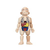 Modelo de Cuerpo Humano para Juguetes de Ciencia e Ingeniería