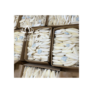 Emballage personnalisé d'os de seiche séchée à haute teneur en protéines pour perroquets et chiens de compagnie + 84 966 274 584 - Product Image 1