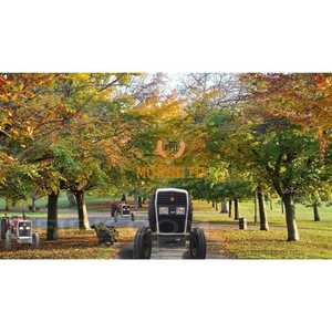 แมสซีย์เฟอร์กูสัน375เหมาะสำหรับการไถดินลึกและการไถพรวนดินพร้อมกับมอเตอร์ดีเซลที่ประหยัดน้ำมัน - Product Image 4