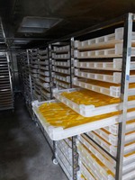 Zuid-Mekong Levert Zacht Gedroogde Mango In Bulk _ Why. App84972678053